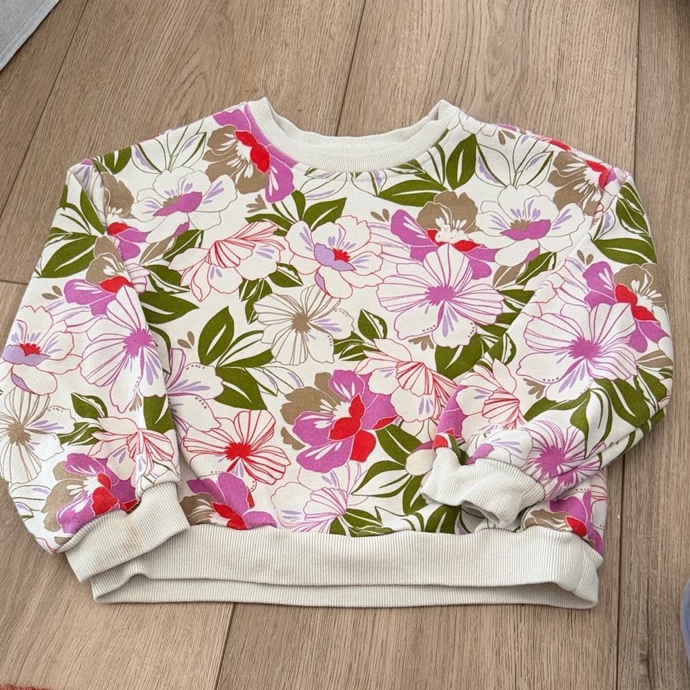 GAP Kids Floral Sweatshirt - Pink, Red, Green, beige size 4T